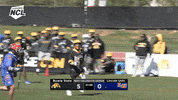 Big Hit Lincoln GIF by NCLLACROSSE