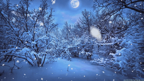 Let It Snow Christmas GIF by echilibrultau