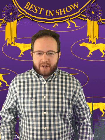 wkcdogshow GIF by Westminster Kennel Club