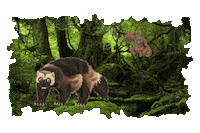 Forest Trees Sticker