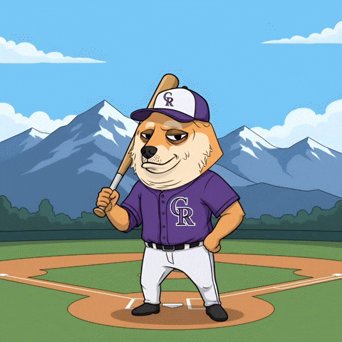 Shiba Inu Baseball GIF by Doge Pound