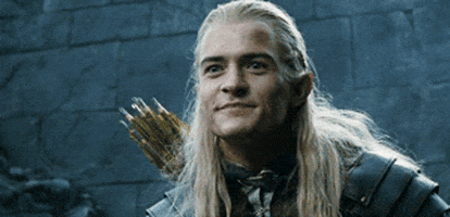 the lord of the rings deal with it GIF