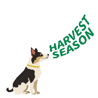 Farmdog Sticker by DEKALB Asgrow Deltapine