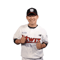 Baseball 케이티 Sticker by kt wiz