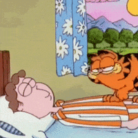 Voting Good Morning GIF by INTO ACTION