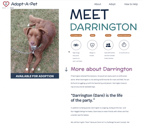 tayloroen7 giphygifmaker GIF