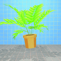 GIF by jjjjjohn