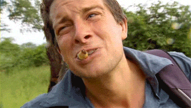 crvcrv GIF