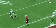 Arizona Cardinals Football GIF by NFL
