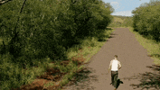 Steve Mcgarrett Eddie GIF by CBS