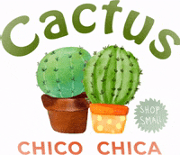 CactusChicoChica shoplocal handembroidery veteranowned cactuschico GIF