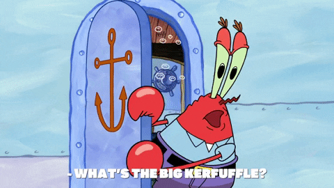season 9 GIF by SpongeBob SquarePants