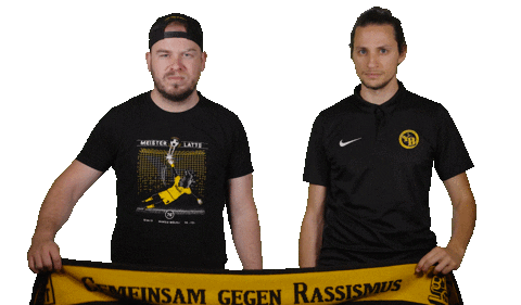 Bsc Young Boys Switzerland Sticker by Radio Gelb-Schwarz