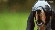 GIF by Amazon Prime Video