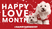Love Dogs Heart GIF by HammyandBrody