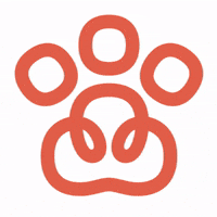 Friends Dogs GIF by Gudog