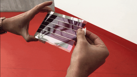 NikiStrachan giphyupload GIF