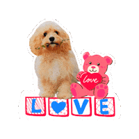 Love Sticker