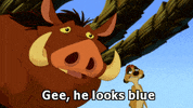 the lion king pumba GIF
