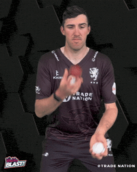GIF by Somerset County Cricket Club