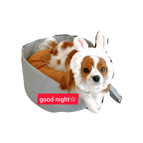 Sleepy Dogs Sticker