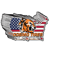 Tony The Tiger Usa Sticker by Cosmo Tires
