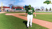 Anderson GIF by NDSU Athletics