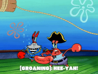 season 6 grandpappy the pirate GIF by SpongeBob SquarePants