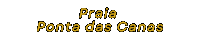 Beach Praias Sticker by GIFS DA CRIS