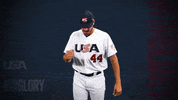Pro GIF by USA Baseball