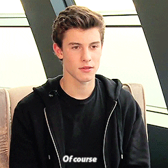 shawn mendes GIF