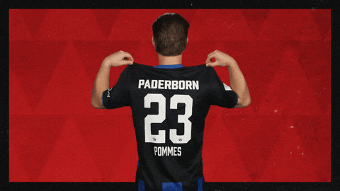 Sc Paderborn 07 Football GIF by Bundesliga