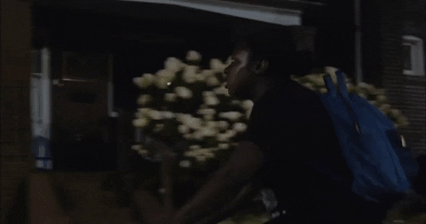 Canada Toronto GIF by TIFF