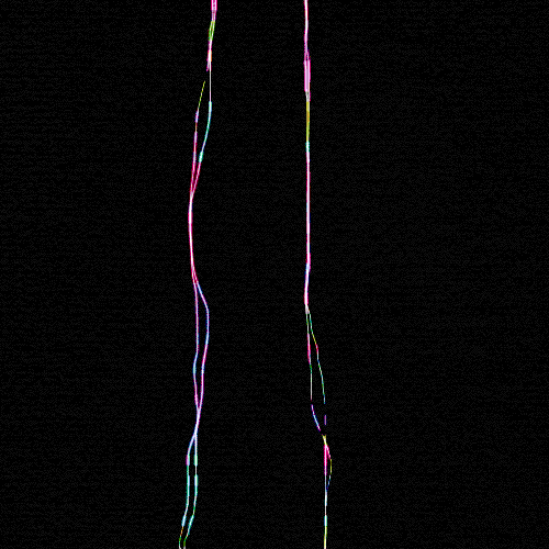 life time GIF by XCOPY