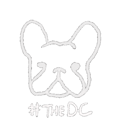 Jennings Chali Sticker by The Dance Cartel