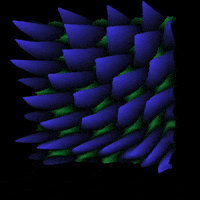 Art Morph GIF by Aleksey Efremov