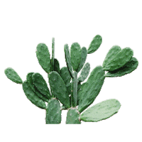 Illustration Grow Sticker by Cactus City Studio