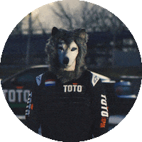 Formula 1 Sport Sticker by Toto