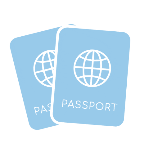 Travel Ally Sticker by TheAllyCo