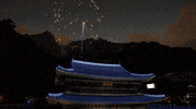 Music Video Fireworks GIF by DokeV