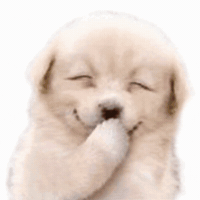 Puppy Giggling GIF