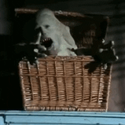 Basket Case Horror Movies GIF by absurdnoise