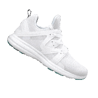 Ascend Sticker by APL