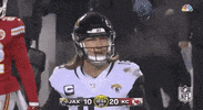 Nfl Playoffs What GIF by NFL