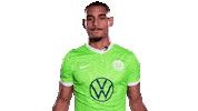 Football Come In Sticker by VfL Wolfsburg