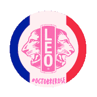 Leo Club Lions Sticker by Leo Club France