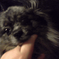 GIF by andymilonakis