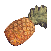 pineapple STICKER by imoji