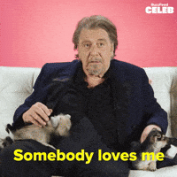 Al Pacino Puppy GIF by BuzzFeed