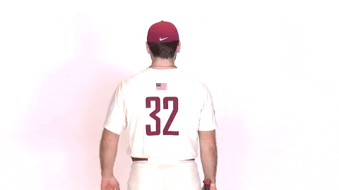 Baseball Roll Pards GIF by Lafayette Leopards